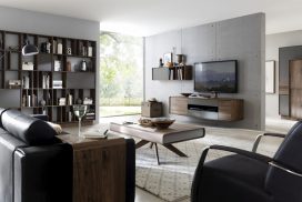 har-bo-04 Wohnzimmer, Bücherregal, Massivholz Wildnuss
